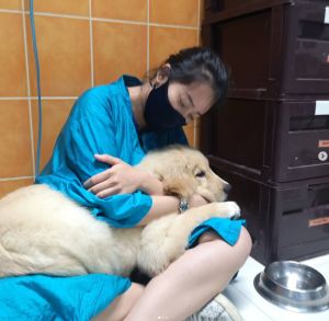 ▲Suthi DA與緊抱著來診所的狗狗。（圖／翻攝自nickysuthida IG）