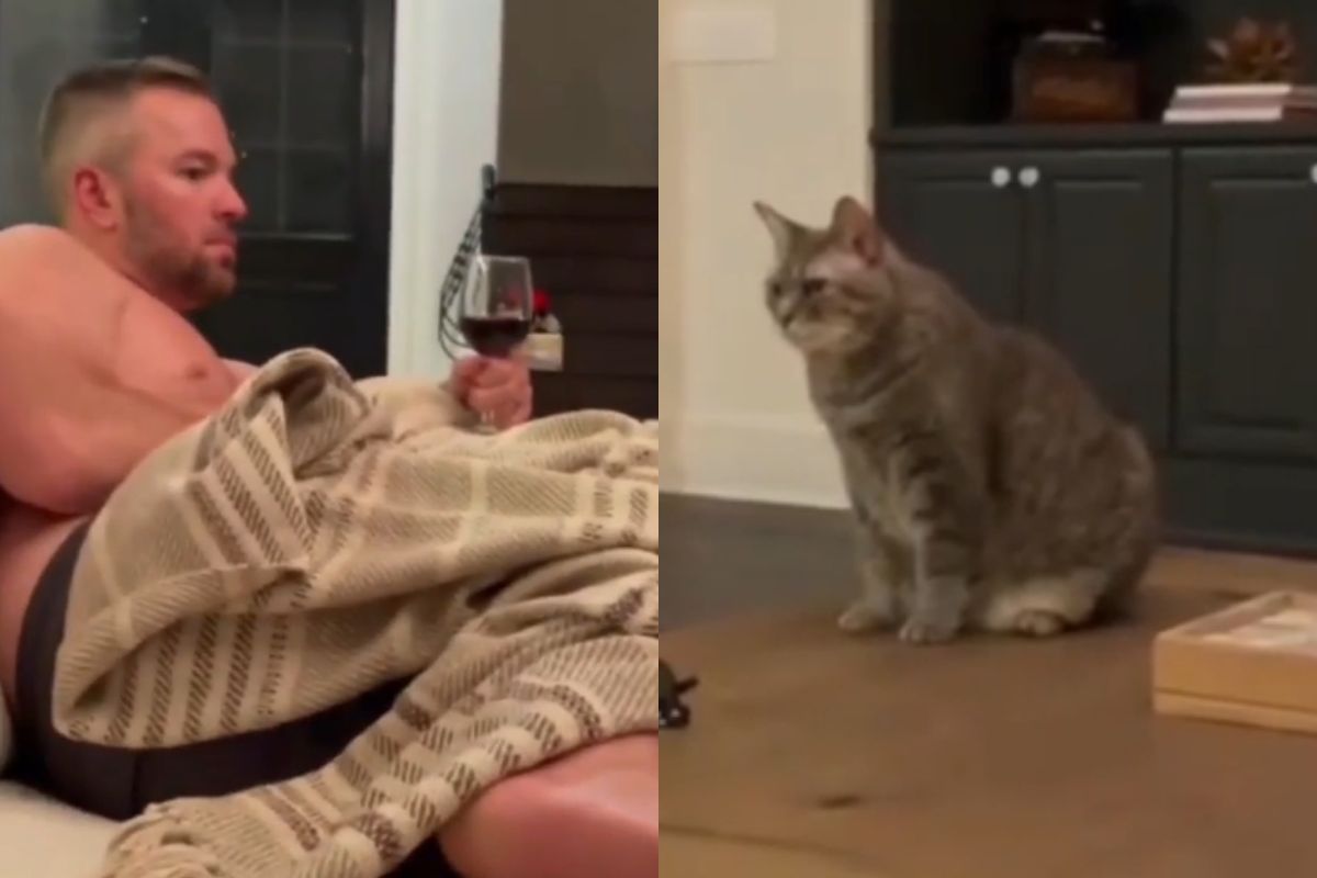 ▲老公進入房間，妻子的愛貓不眨眼瞪到他離開，網友笑：「愛情和喵該怎麼選？」（圖／TiKTok：roro.cat）