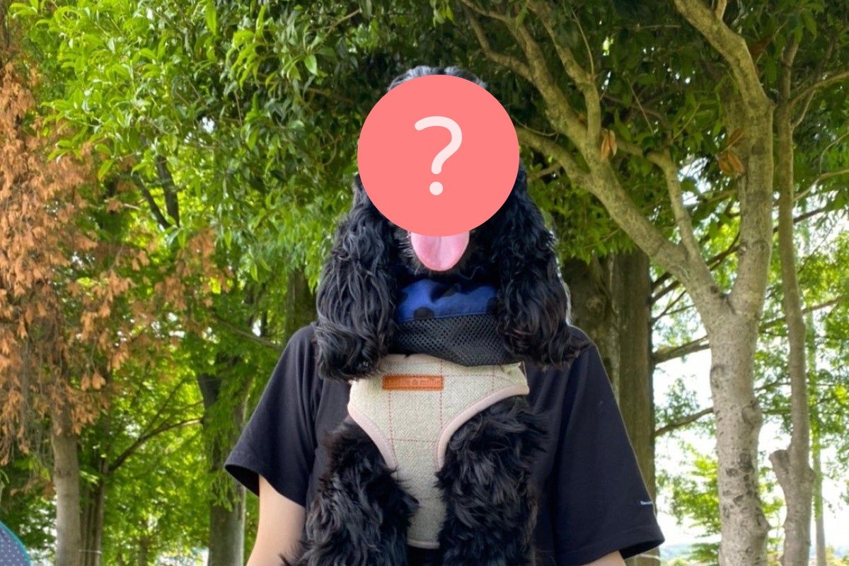 ▲公園驚見長髮狗頭人，眾人狂揉眼爆笑：「完全無違和！」（圖／Twitter：ren19832016）