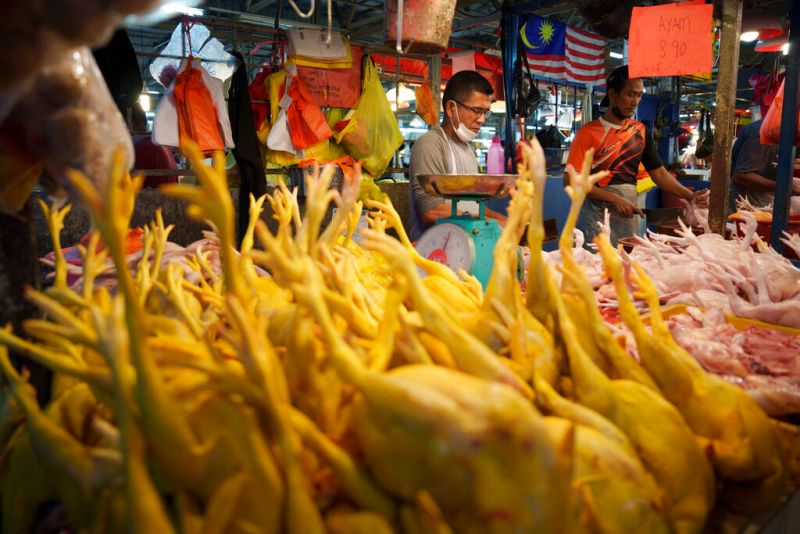 ▲馬來西亞自6月1日禁止出口雞肉，印尼政府與新加坡協調雞隻出口問題。（圖／美聯社／達志影像）