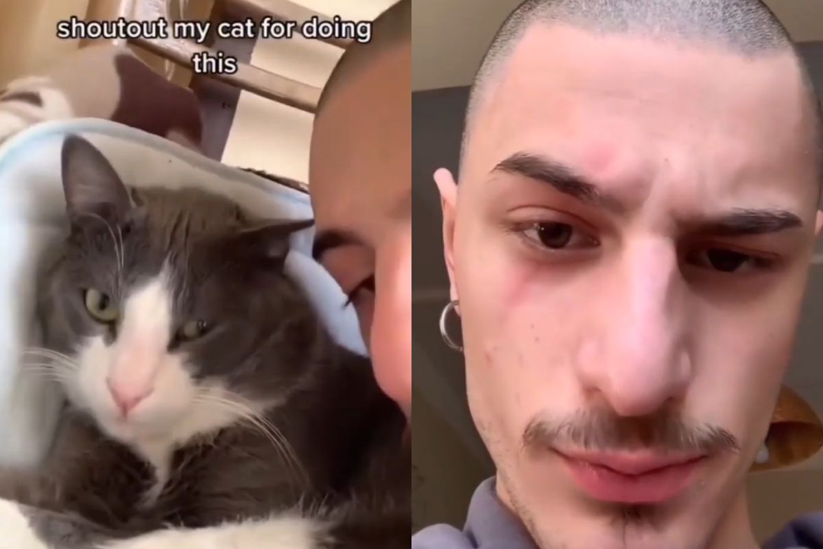 ▲貓爪神功發威，一掌讓飼主換成「霸氣+9 skin」。（圖／TiKTok：saba_tevzadze） 