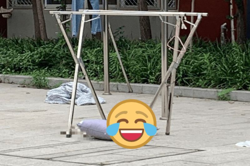 枕頭曬屋外!竟遭「毛惡霸」強行徵用 網笑:一隻還饋腳