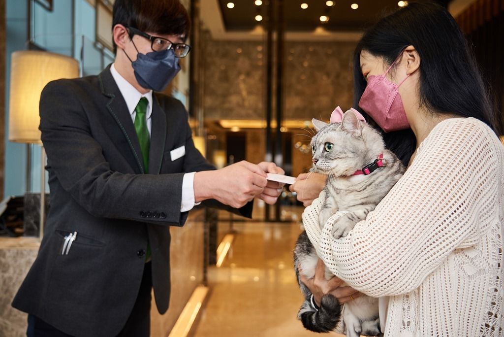 ▲台北六福萬怡酒店搶攻毛孩商機，今（23）日宣布，以豐富內容規劃南港首間寵物友善國際飯店，並首創獸醫健康諮詢服務。（圖／業者提供）