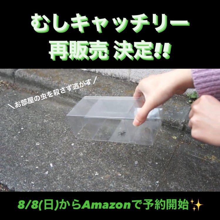 ▲日本學生發明了一個抓蟲工具。（圖／IG：mushi.catchlea） 