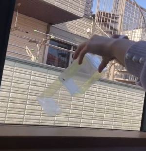 接著就能拿到窗外放生。(圖/IG:mushi.catchlea) ▲接著就能拿到窗外放生。(圖/IG:mushi.catchlea)