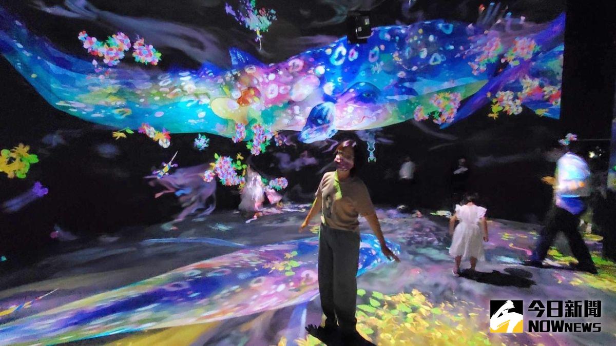 ▲「teamLab未來遊樂園」高雄展場突破以往，採挑高空間規劃、搭配多重鏡面設計，互動區域加倍升級。（圖／記者陳美嘉攝，2022.06.23）