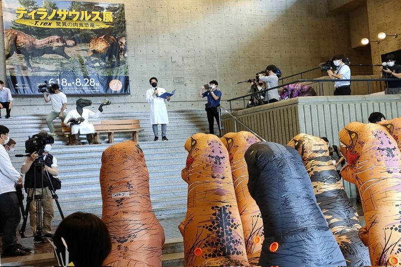 ▲日本鳥取縣立博物館在日前舉辦暴龍展，邀請15隻暴龍來對「祖先」致敬。（圖／推特帳號tottorimuseum）