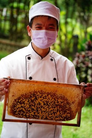 ▲平溪區紫東社區發展協會規劃的「生態蜂茶季–燈蜂兆吉遊平溪」系列活動，今、明二天登場。（圖／主辦單位提供)