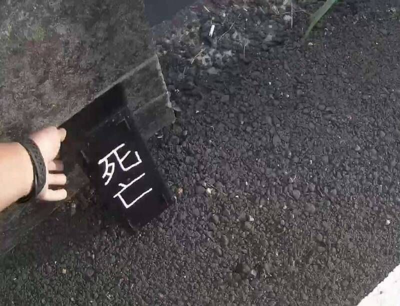 ▲近期鹿港街頭出現寫有「死亡」白字的木牌，引起民眾恐慌。（圖／翻攝畫面）