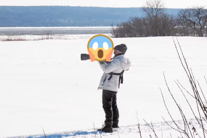 ▲野生動物攝影師日前到加拿大取材時，一隻烏林鴞從高空降落停在她的相機上。（圖／Marie-France Côté）