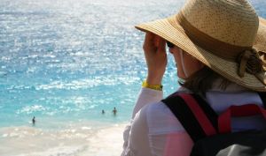 ▲15人以上旅行團(離島6人以上),若旅遊天數達2天1夜以上,每團可申請最高2萬元補助,補助項目包括交通費及住宿費(圖/取自pixabay) ▲15人以上旅行團(離島6人以上),若旅遊天數達2天1夜以上,每團可申請最高2萬元補助,補助項目包括交通費及住宿費(圖/取自pixabay)