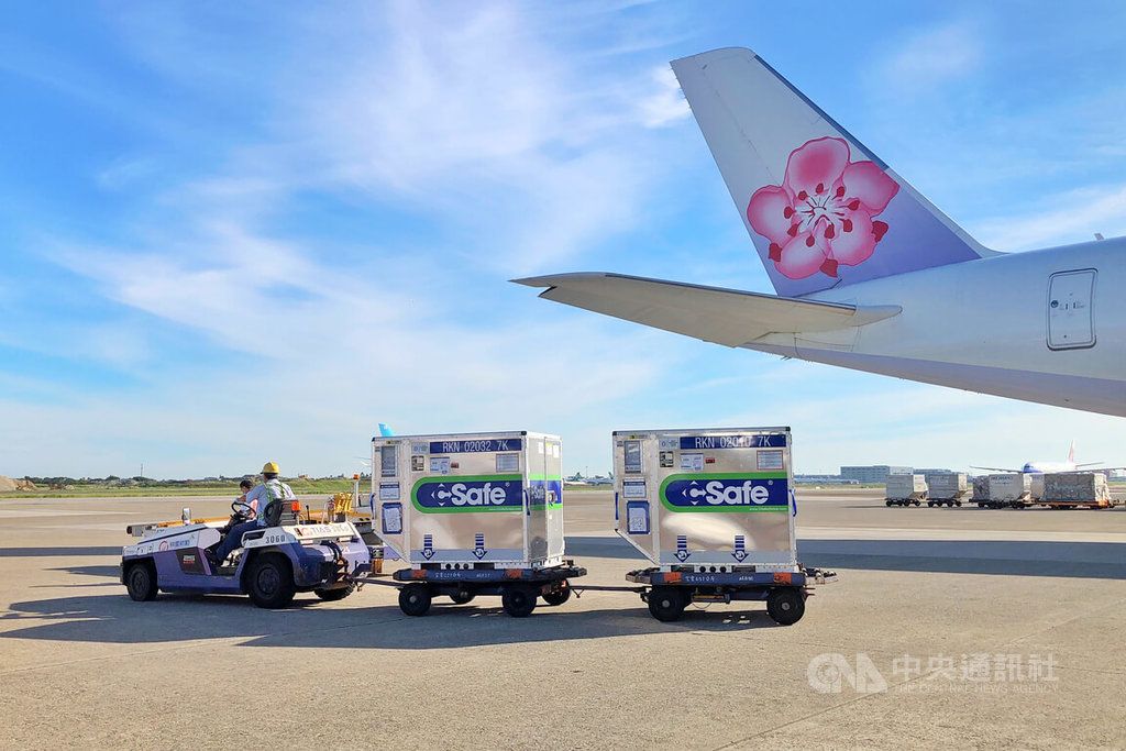 ▲載運疫苗的班機落地後滑行停靠於A9停機坪，經消毒作業後，由地勤人員將放置於貨艙的溫控櫃卸下，完成通關作業後經拖車送往貨物碼頭裝入冷鏈貨車，直接運送至指定冷儲物流中心進行後續檢驗封緘作業。（圖／中央社記者吳睿騏桃園機場攝 111年6月30日）