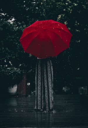 ▲紅色雨傘。(示意圖/翻攝Pexels) ▲紅色雨傘。(示意圖/翻攝Pexels)