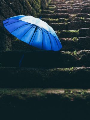 ▲藍色雨傘。(圖/翻攝Pexels) ▲藍色雨傘。(圖/翻攝Pexels)