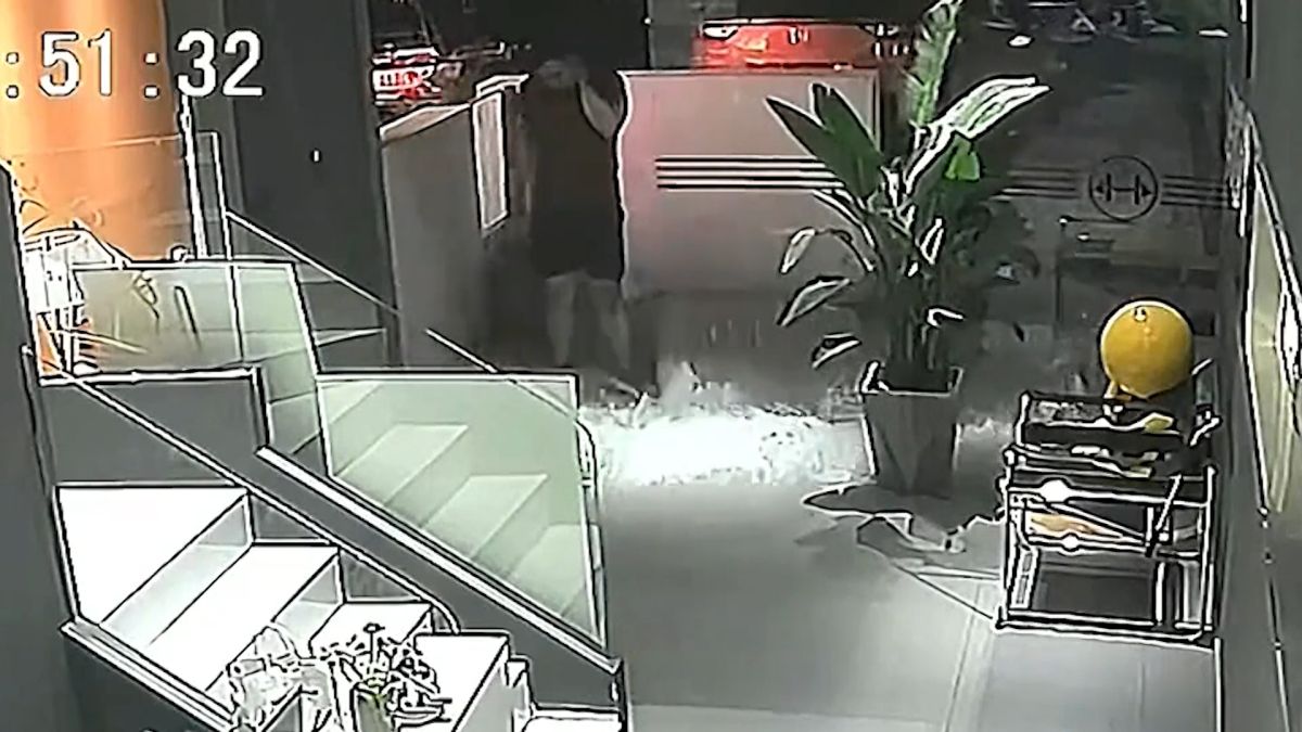 ▲大陸有位飼主帶著柴犬出門散步，返家時進入一間健身房，沒想到玻璃門因被柴犬撞上後全碎。（圖／AP美聯社／Viralpress）