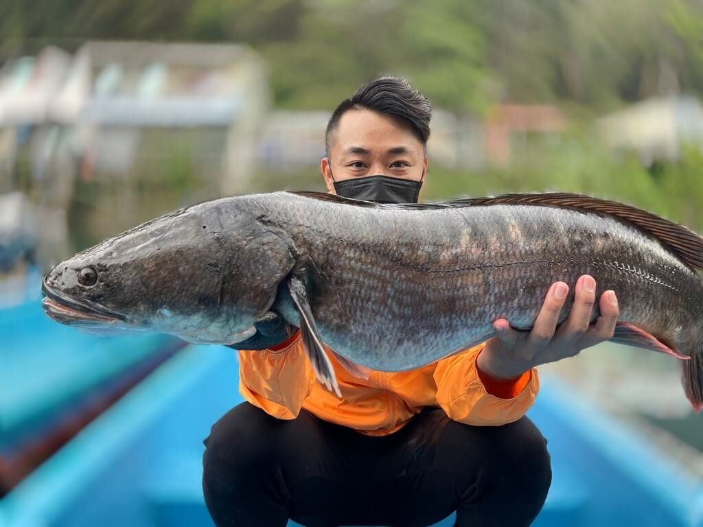▲外來種魚虎將進入繁殖期，數百隻幼魚集體移動的「魚虎球」尚未出現，日月潭當地李姓釣客（圖）4日指出，估7月中起陸續出現，「現在沒發現，很正常」，但先前一直有釣到大魚虎，防治工作不能鬆懈。（圖／日月潭一等高提供 中央社記者蕭博陽南投縣傳真 111年7月4日）