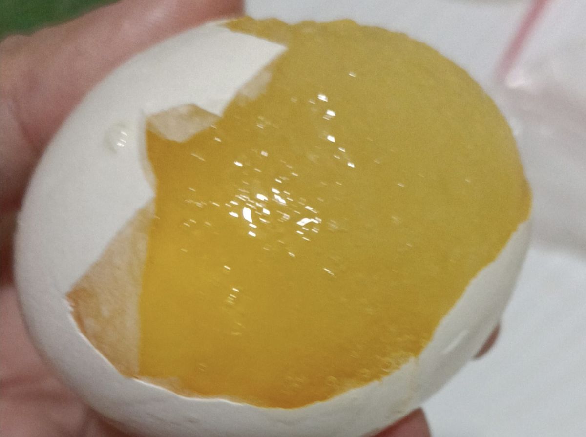 ▲一名網友分享，她在冰箱發現一顆結凍蛋，本來要丟又覺得浪費，因此硬是當作荷包蛋煎。（圖／翻攝自廚藝公社）