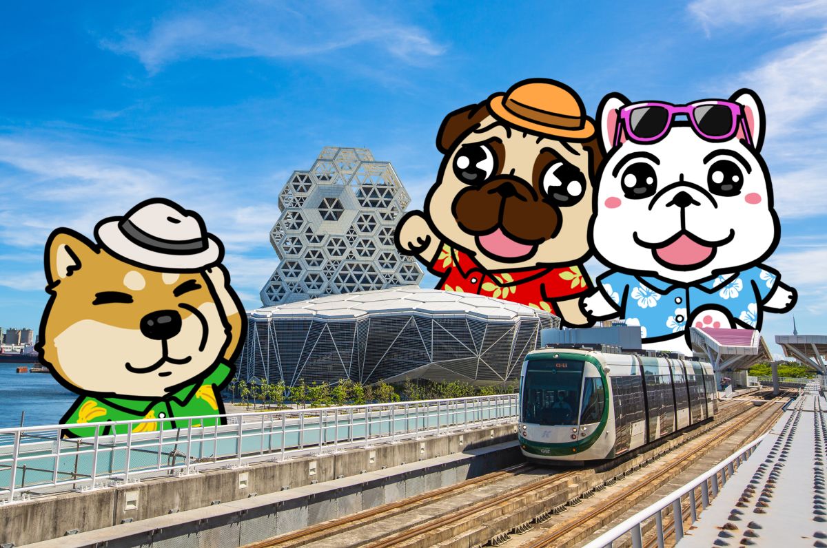 ▲知名插畫家可布魯創作豆卡頻道，其中毛小孩角色高達22隻。(圖／豆卡頻道提供)