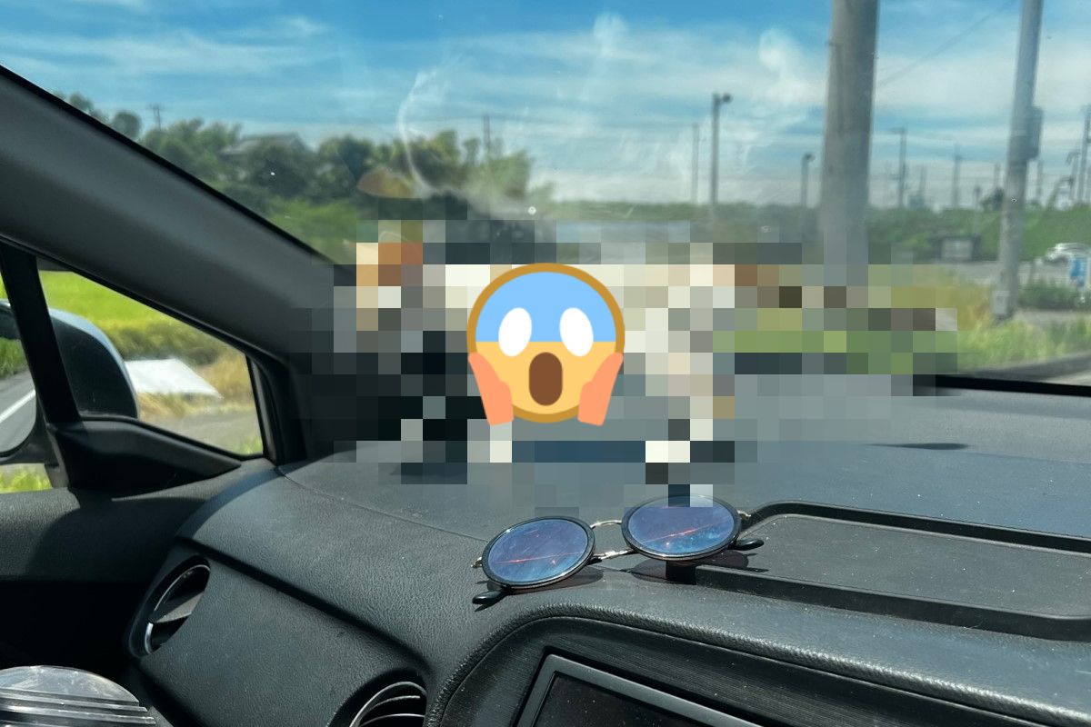 ▲日本一名車主為了趕蜜蜂開車門，卻被一隻生病的小浪貓闖入。（圖／推特帳號tokkun_com）