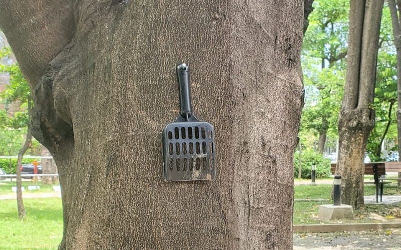 ▲一名網友分享，他某次意外發現樹上掛有某種「特殊道具」，且許多棵樹上都有，好奇其用途。（圖／翻攝自爆廢公社）