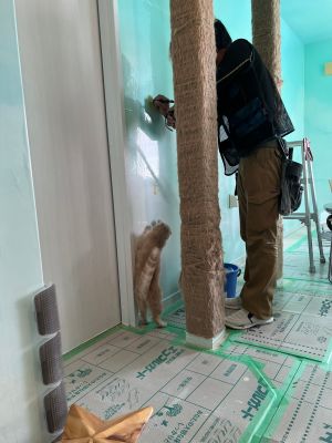 Uiro監工:這裡不對喔!請再上去一點。(圖/Twitter:nekobeya35) ▲Uiro監工:這裡不對喔!請再上去一點。(圖/Twitter:nekobeya35)