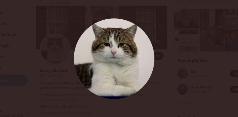 ▲唐寧街捕鼠官貓拉里（Larry the Cat）人氣超旺，有網友替他成立推特帳號，發文揚言「不是強生走，就是我走」，結果真的一語成讖讓強生下台。（圖／翻攝自Larry the Cat的推特）