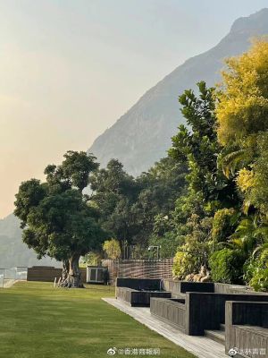▲林青霞宅邸後花園。(圖/林青霞微博) ▲林青霞宅邸後花園。(圖/林青霞微博)