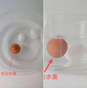 ▲褐色的雞蛋上浮表示不新鮮，白色的雞蛋下沉是新鮮的。（圖／翻攝自Ivy營養師的健康教室）
