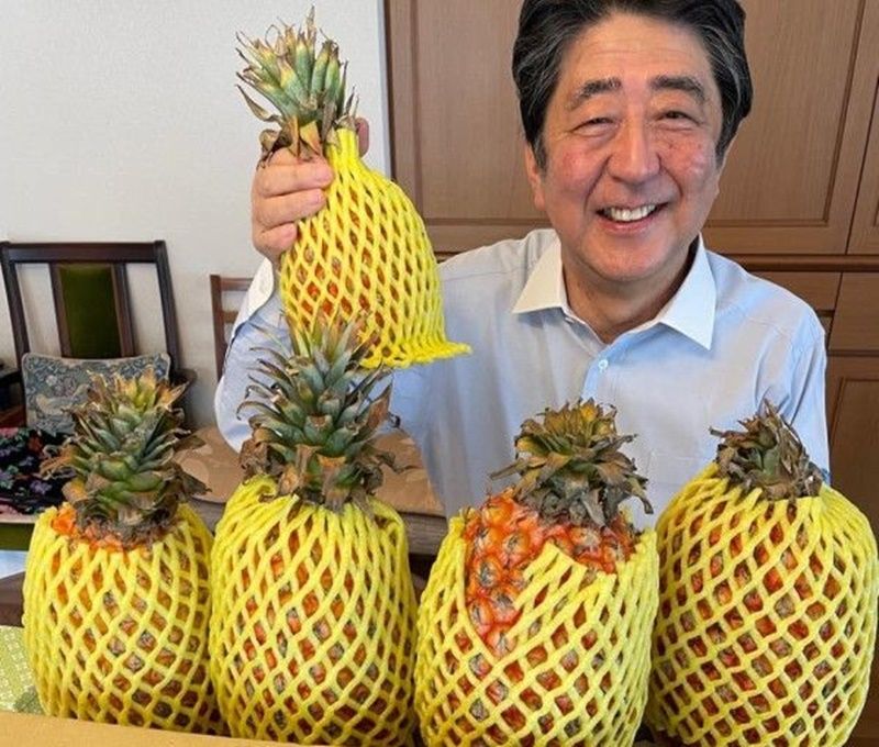 ▲安倍晉三曾在個人IG、臉書等帳號表示:「今天的甜點是台灣鳳梨,看起來很好吃。」(圖/安倍晉三IG帳號)