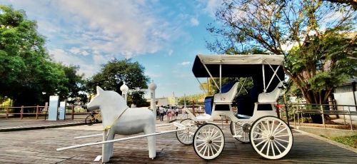 體驗夢幻馬車婚禮 中市聯合婚禮即日起線上報名 ▲第一對報名的市民及公教人員新人,活動當天還能享有搭乘專屬馬車進場的早鳥獎勵,(圖/后里馬場網站)