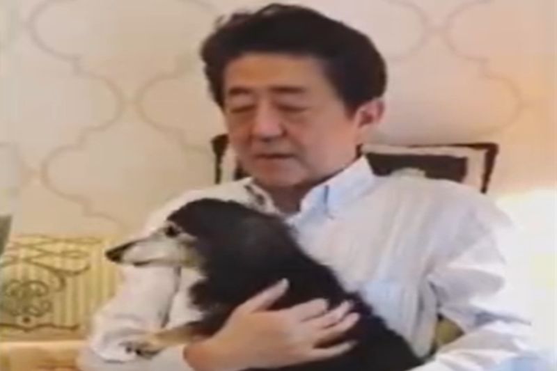 ▲日本前首相安倍晉三生前相當愛狗，圖為他抱著已過世的愛犬羅伊。（圖／翻攝自安倍晉三IG）