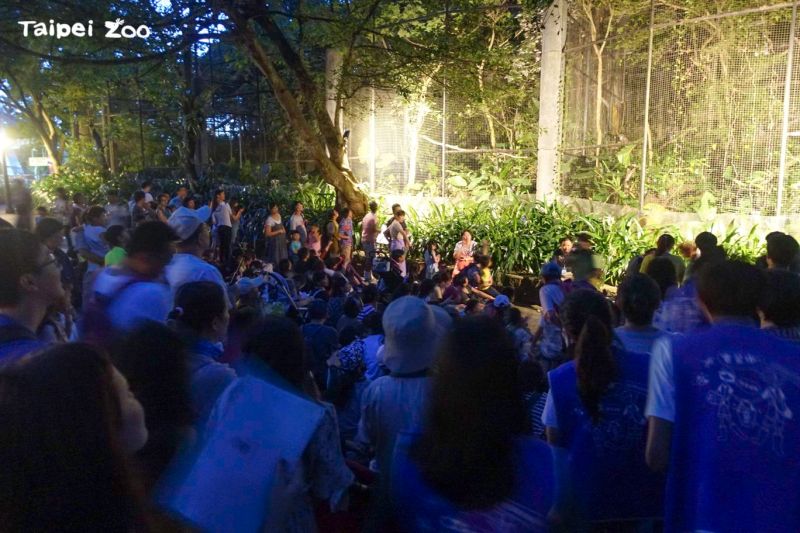 ▲夜間除了可以讓遊客體驗夜晚的動物園外，還有每週不同主題的動物 BB Keeper's Talk。(圖／翻攝官網)