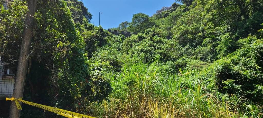 ▲新店一位77歲的孟姓婦人，疑似爬山發生意外，失聯3天後於今日在山坡下被尋獲遺體。（圖／翻攝畫面）