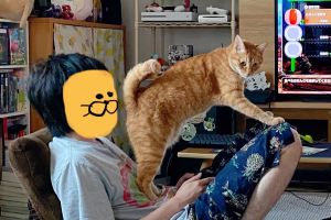 老公狂打遊戲出不來？貓咪「1招」逼回魂　網：太有味道
