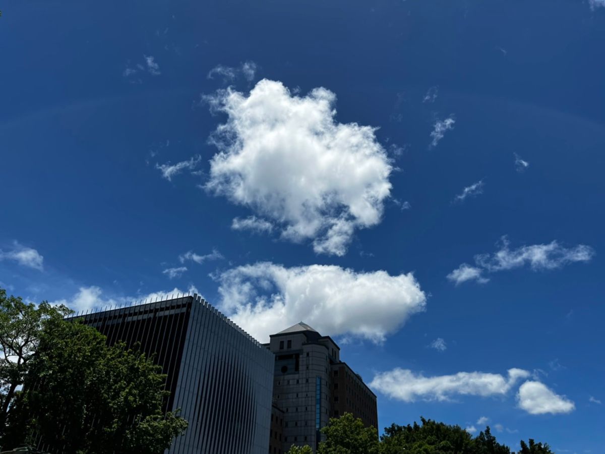 ▲中央氣象局表示，今（25）日受東北季風影響，水氣偏少，各地為多雲到晴、陽光露臉的天氣，僅宜花地區及大臺北山區有零星短暫雨，午後南部山區亦有零星短暫陣雨。（圖／張勵德攝）