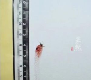 ▲警方在牆上發現兩抹拍打蚊子所留下來的血漬，提取DNA後找到竊賊。（圖／梨視頻　微博）