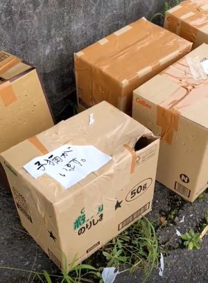 ▲貓旅館外頭被放了六個用膠帶封死的紙箱，裡頭藏有7隻小貓和3隻成貓。（圖／Twitter：neko_niwa）