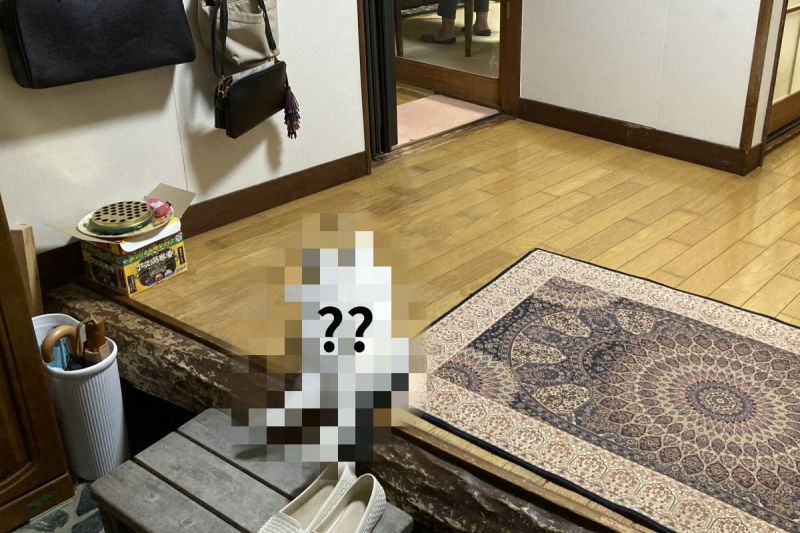 進門見「貓牌瓦斯桶」翻肚迎接!網一看全笑翻:阿嬤養的