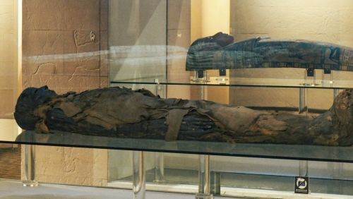 台灣有木乃伊真屍！1000萬身價眾人靠近頭超暈　科博館：有感情了