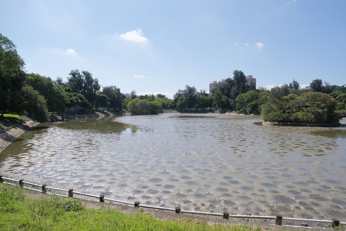 ▲成功湖出現大量的神祕坑洞，景色看起來相當奇特。（圖／《國立清華大學》FB）