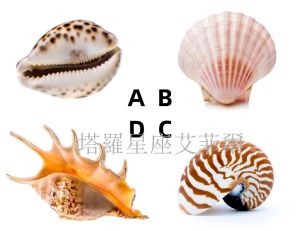 ▲(圖/翻攝自「塔羅牌老師艾菲爾」臉書) ▲(圖/翻攝自「塔羅牌老師艾菲爾」臉書)