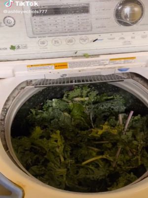 ▲美國一名女網友利用洗衣機洗蔬菜。（圖／TikTok帳號ashleyechols777）