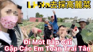 ▲從越南結婚來臺已歸化我國籍的Youtube頻道網紅「選美皇后珮珮」主動聯繫阿伸，並熱心表示願意幫忙拍片宣傳。（圖／翻攝畫面）