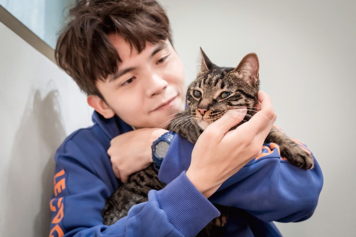 ▲哥吉拉之亂在網路引起高度討論及關注，藝人黃豪平也分享此事讓許多人「有共鳴」。（圖／翻攝自黃豪平臉書）