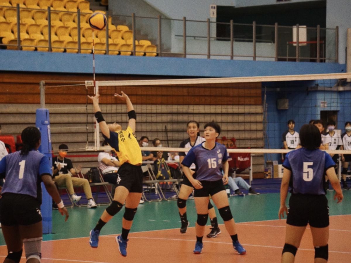 ▲登峰造極青年排球邀請賽。官方提供