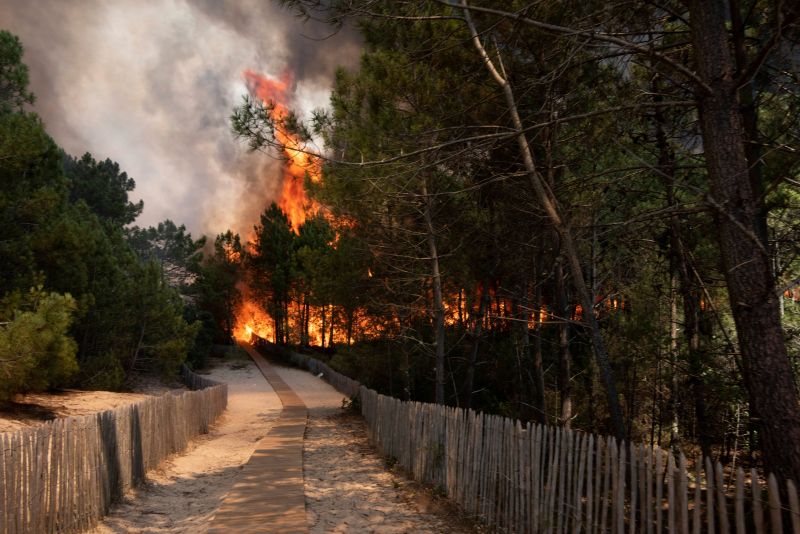 ▲法國國家憲兵發言人表示，警方逮捕48名涉嫌於今年夏天在法國引發森林大火的人。圖為法國吉倫特省森林大火。（圖／美聯社／達志影像）