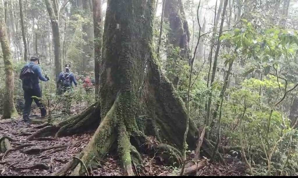 ▲新竹一名34歲葉姓民眾和2名友人前往台中攀登谷關七雄的馬崙山，卻意外失縱，目前警消仍在搜索中。（示意圖，非當事畫面／翻攝畫面）