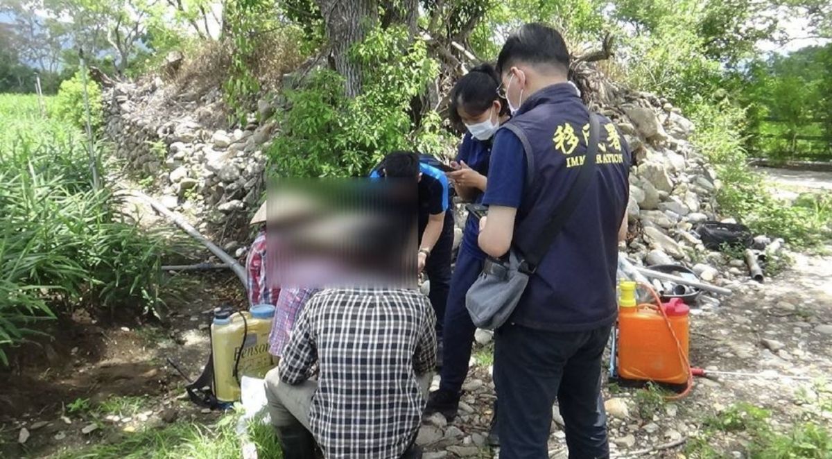 ▲失聯移工從台南逃到台東生薑園工作。（圖／台東專勤隊提供）