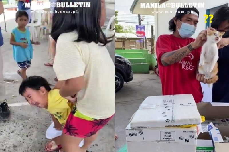 ▲菲律賓一名男童目睹自家貓咪打疫苗而崩潰大哭！（圖／Youtube帳號Manila Bulletin Online）
