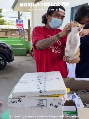 ▲原來是男童的愛貓正在施打疫苗。（圖／Youtube帳號Manila Bulletin Online）
